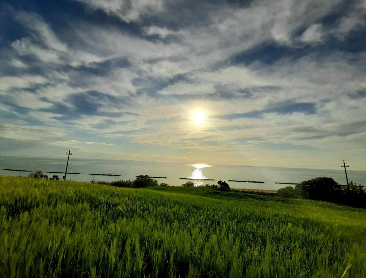 Bio Agriturismo Mare In Campagna Campofilone المظهر الخارجي الصورة