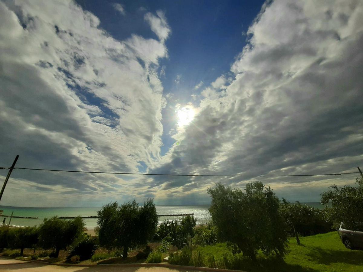 Bio Agriturismo Mare In Campagna Campofilone المظهر الخارجي الصورة