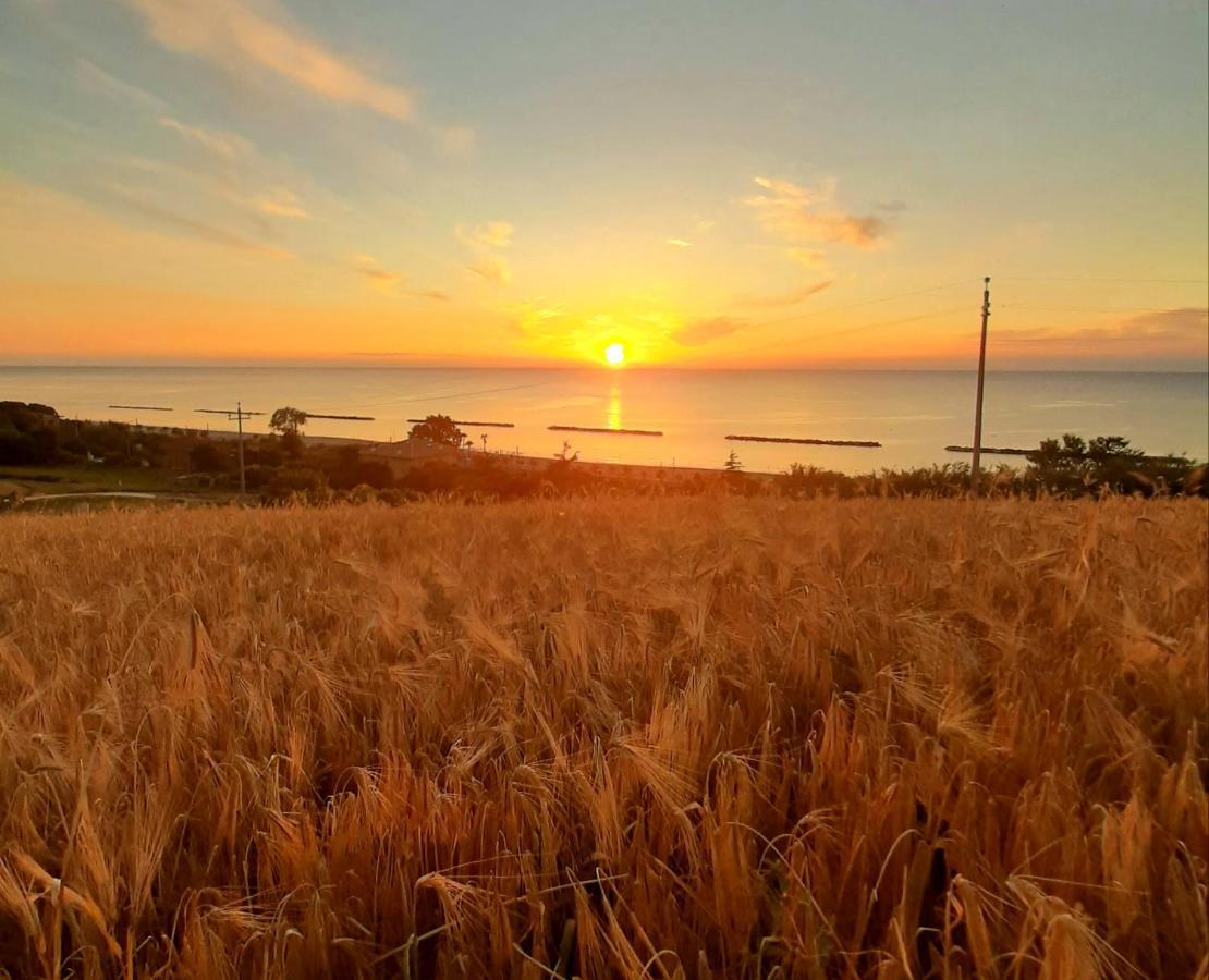 Bio Agriturismo Mare In Campagna Campofilone المظهر الخارجي الصورة