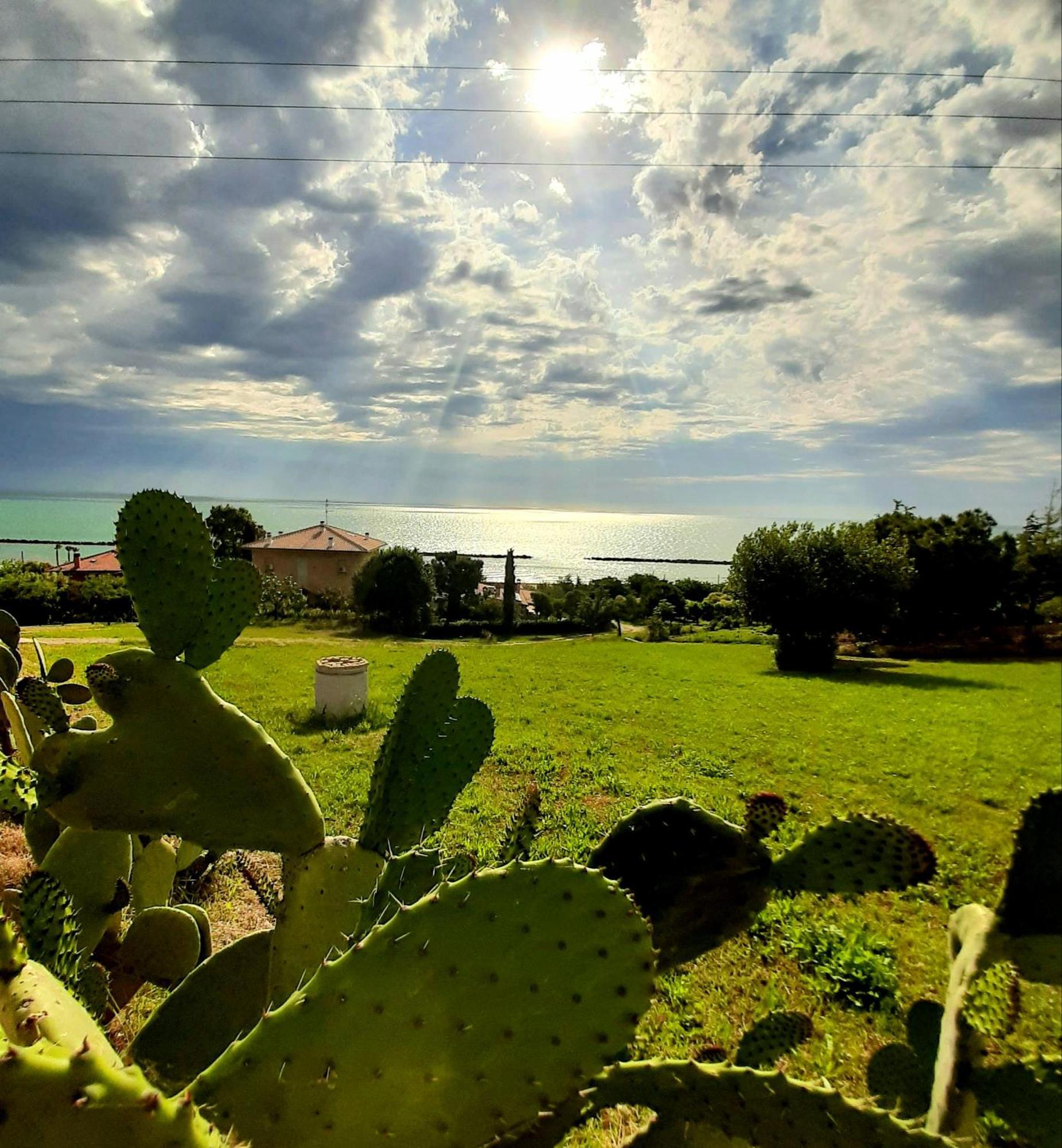 Bio Agriturismo Mare In Campagna Campofilone المظهر الخارجي الصورة